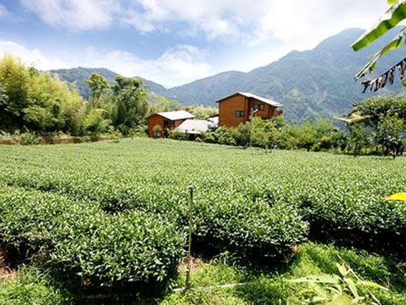 Walk Cloud Bed And Breakfast Meishan Exterior photo